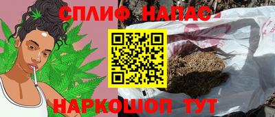 дурь Бийск