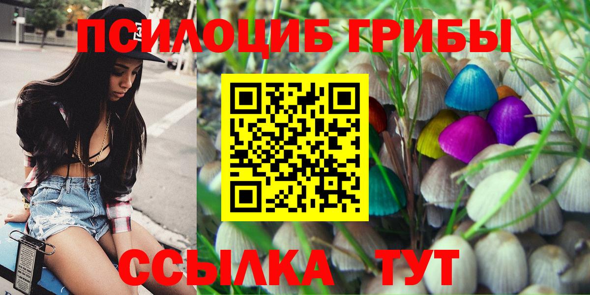 цены   Вход с VPN  Кольчугино  Псилоцибиновые грибы Magic Shrooms  Псилоцибиновые грибы ЛСД 